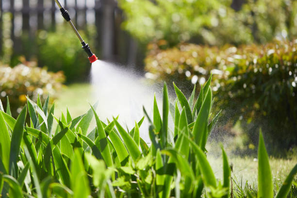 24/7 Emergency Mosquito Control experts in North Babylon, NY