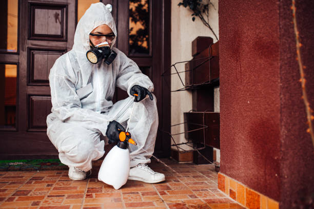 Reliable Mosquito Control contractor in North Babylon, NY by Show Me Pest Control